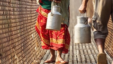 Food safety officials inspecting dairy suppliers in Hyderabad over adulteration concerns.