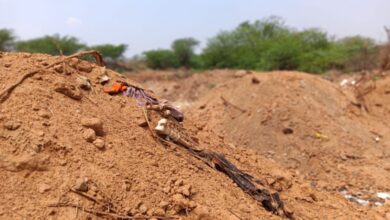 The image shows the skeletons exposed at the graveyard in Kanigiri municipality of Andhra Pradesh after it was destroyed in March, 2026.