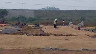 Telangana Civil Supplies Department procures 10.2 lakh tonne paddy from farmers for Rabi marketing season till Thursday, April 30, 2026.