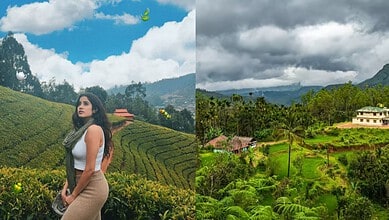 A woman enjoying the lush green hills of a South Indian hill station, surrounded by tea plantations and s.