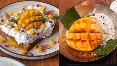 Delicious mango desserts served on plates, featuring fresh mango chunks and creamy toppings, perfect for.