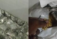 Stale biryani in Hyderabad sold under restaurant banner