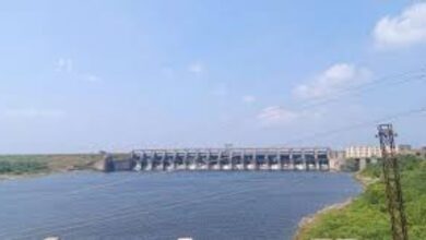 Telangana Human rights Commission orders release of 0.3 TMC from Singur Project to irrigate 20,000 acres of paddy crop under Ghanpur anicut in Medak district.