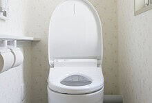 Toilets in Telangana