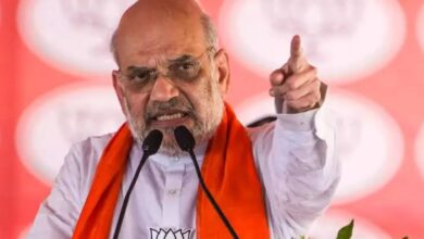 Union Home Minister Amit Shah addresses a public meeting