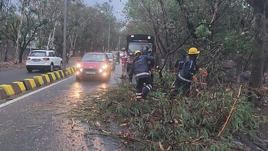 Uprooted tree and traffic congestion in Hyderabad caused by heavy rains.