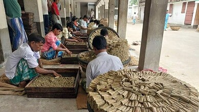 Beedi workers in Murshidabad sorting and rolling beedis under a covered area.