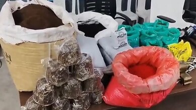 Authorities seize 3,000 kg of adulterated tea powder during H-FAST raids, 10 arrests made.