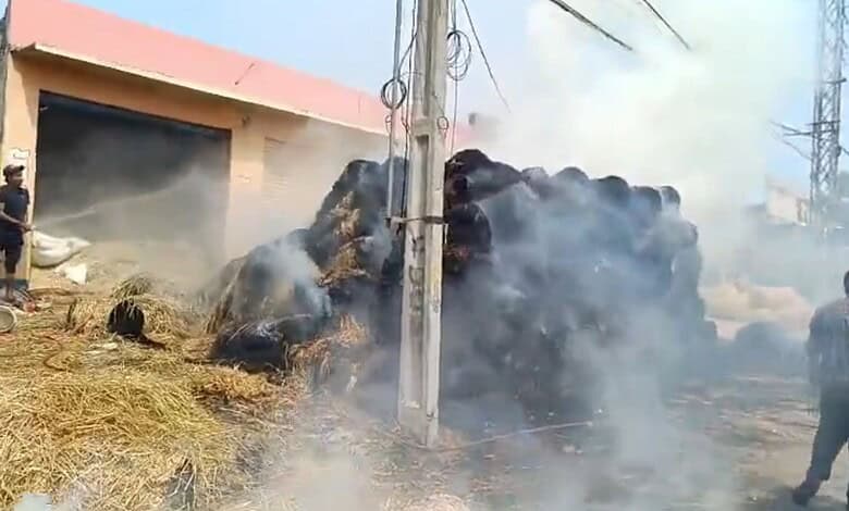 Dry grass kept for Bakrid catches fire in Shaheen Nagar, causing smoke and concern among residents.