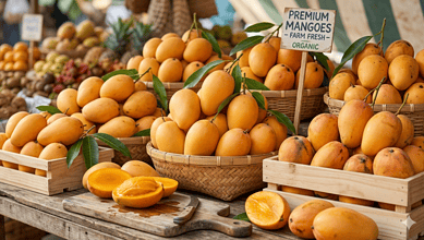 Mango prices may fall in Hyderabad as exports decline due to West Asia crisis