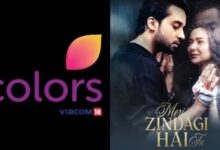 Bilal Abbas Khan and Hania Aamir-starrer Meri Zindagi Hai Tu ended in March last week