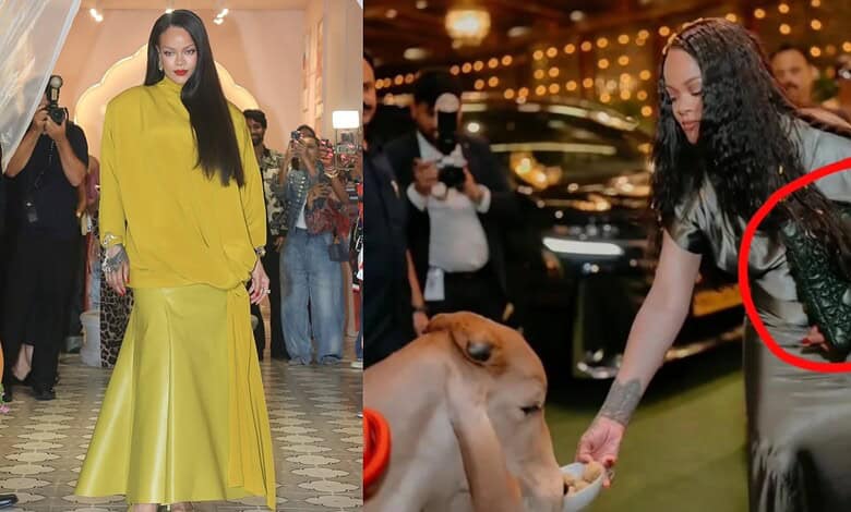 Rihanna feeding a calf at an event, carrying a calfskin bag, sparking controversy over animal rights and.