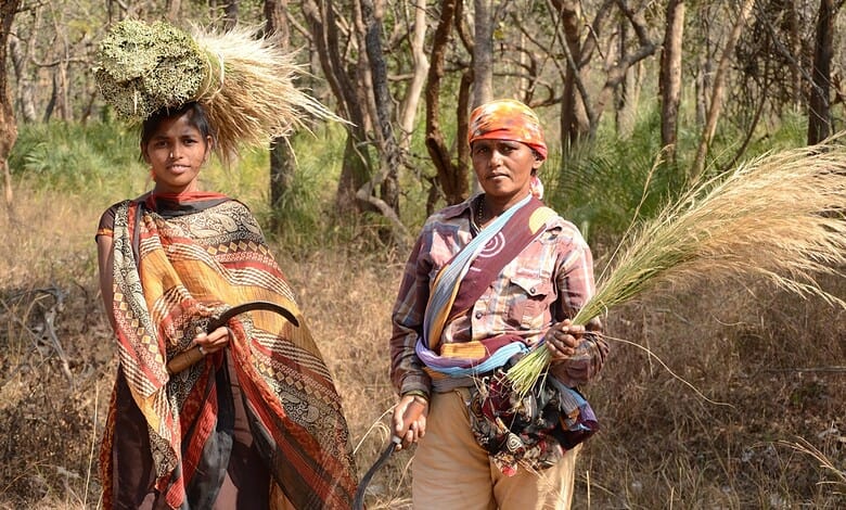Chenchu tribe members in forest, holding grass and traditional tools, highlighting indigenous lifestyle a.