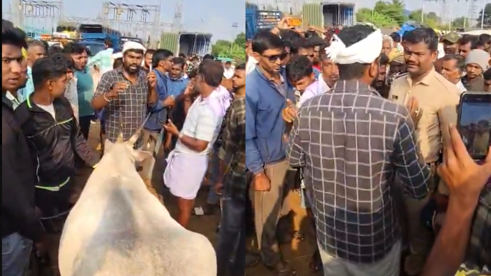 Dairy farmers protest after Muslims boycott cow slaughter in Karnataka's Hassan