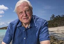 Celebrating David Attenborough's 100th birthday amidst nature's beauty by the seaside.