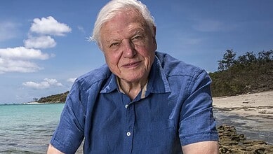 Celebrating David Attenborough's 100th birthday amidst nature's beauty by the seaside.