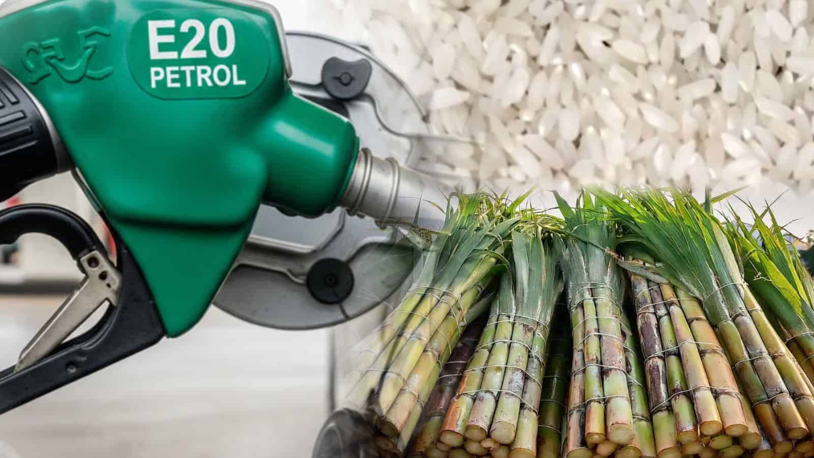 Ethanol fuel pump with sugarcane, illustrating water consumption in ethanol production.