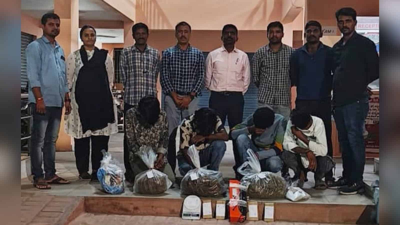 Police display seized ganja and arrests in Hyderabad drug bust operation.
