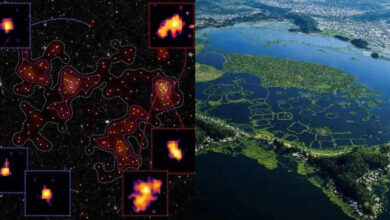 Indian researcher names newly discovered galaxy structure after Manipur’s Loktak Lake