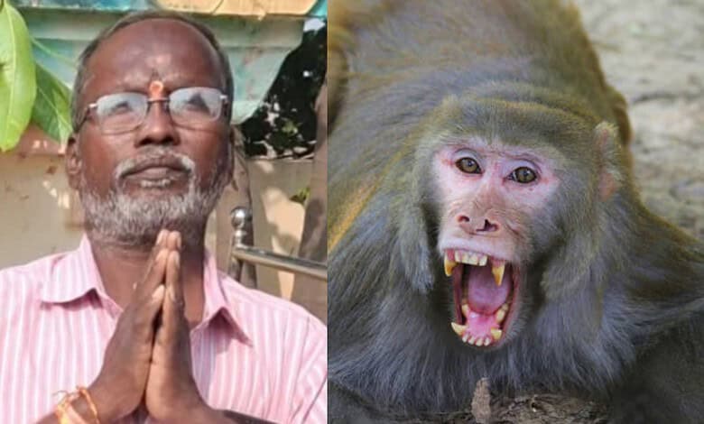 Bhupalapally resident dies while escaping monkey attack on Thursday evening, April 30, 2026.