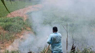 Fire breaks out near Mir Alam Tank in Hyderabad’s Attapur area