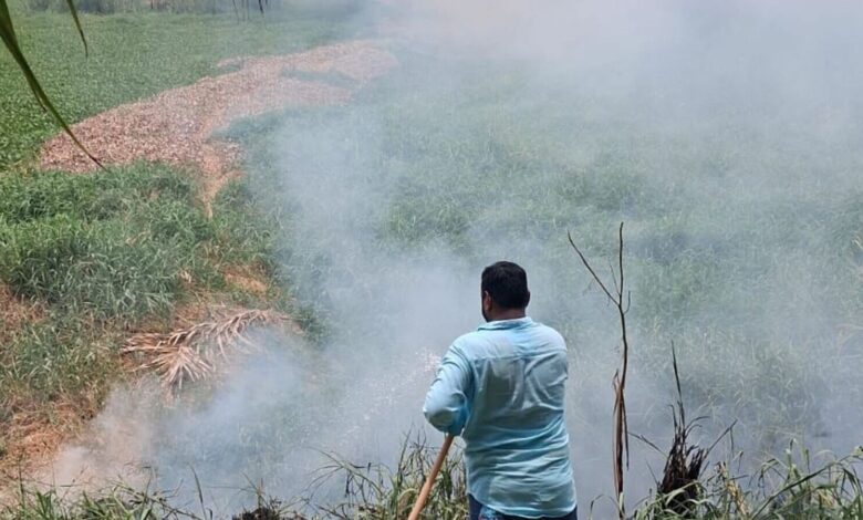 Fire breaks out near Mir Alam Tank in Hyderabad’s Attapur area