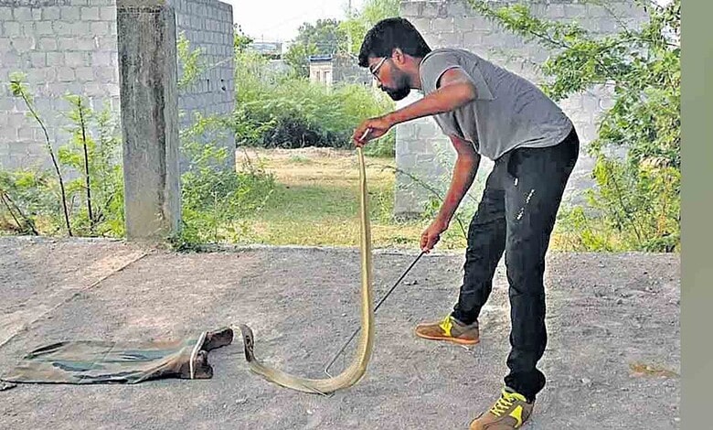 Man rescuing a snake from a residential area in Hyderabad, highlighting urban snake rescue efforts.