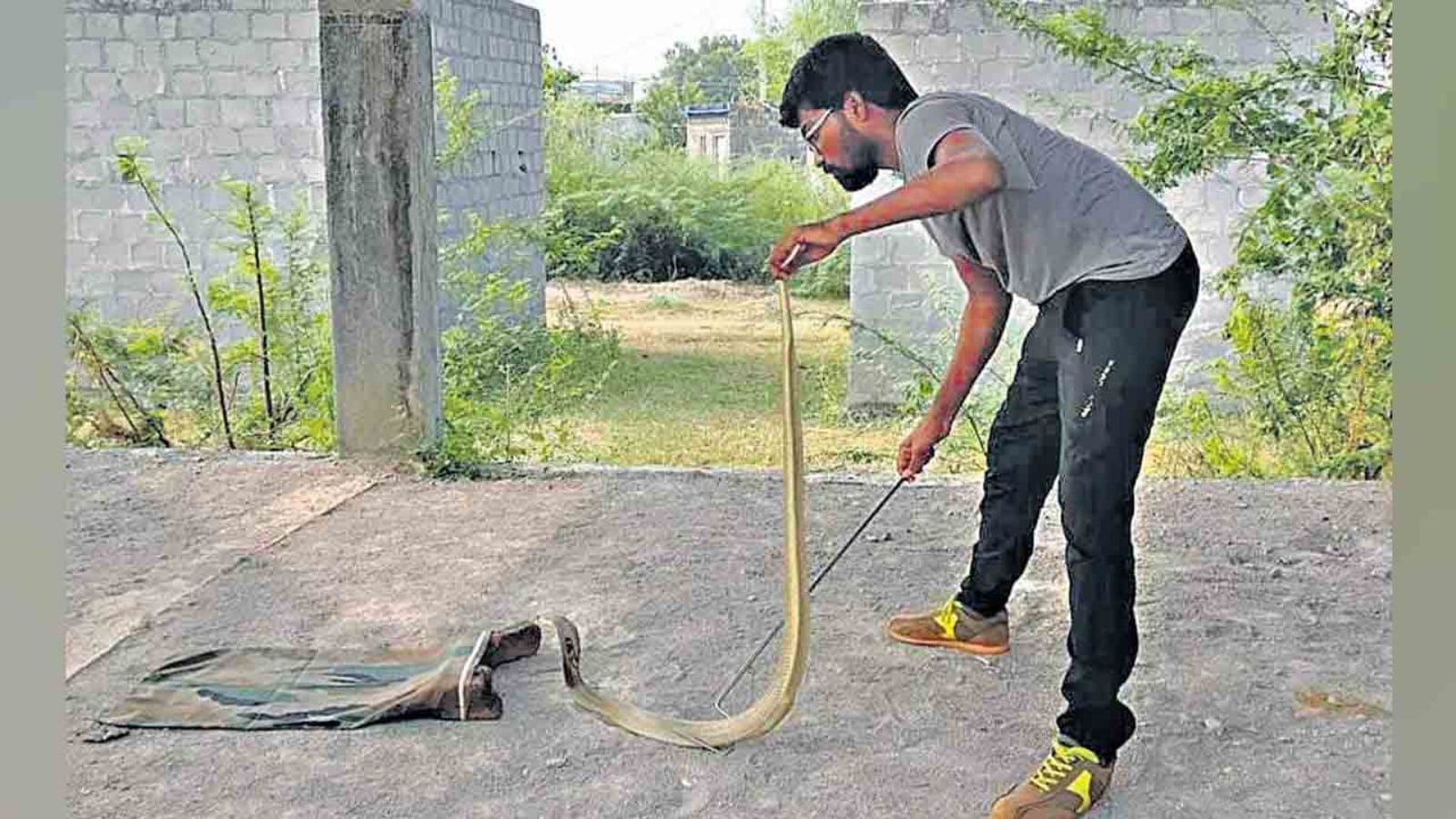 Man rescuing a snake from a residential area in Hyderabad, highlighting urban snake rescue efforts.