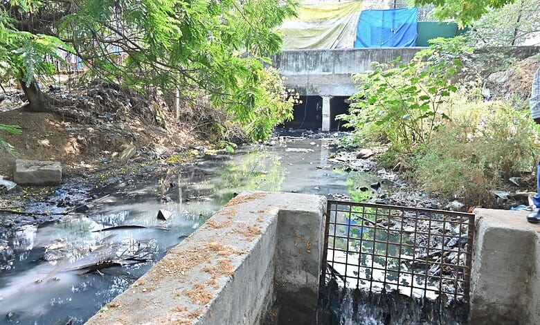 Urban drainage system with water flow near trees and greenery in a natural setting.