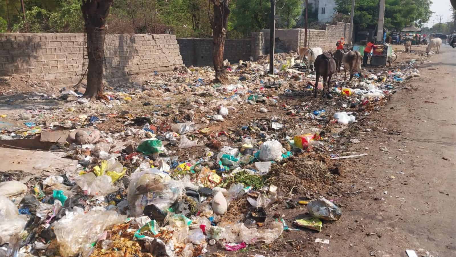 Overflowing garbage and litter scattered along a street with trees and a wall in the background.