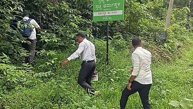 Group of men walking through dense green forest near a signboard in India.