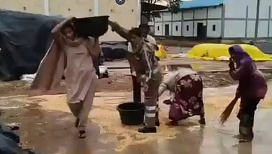 A woman and children collecting water from a muddy puddle in an outdoor area with buildings and parked ca.