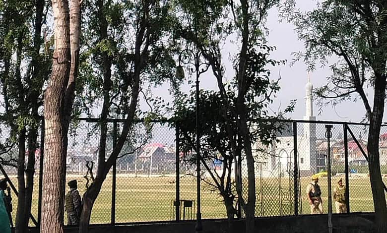Bright outdoor sports field with players and trees, enclosed by a black fence, under a clear sky.