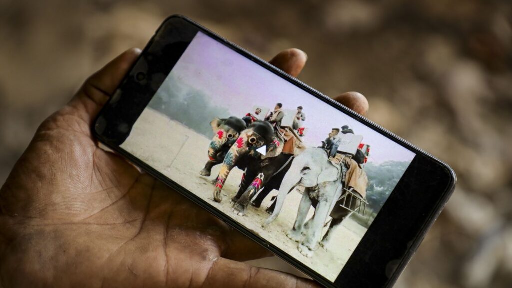 A person holding a smartphone displaying a photo of elephants and tourists in a natural setting.