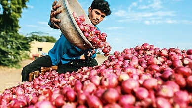 An onion farmer with his produce