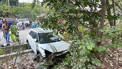 A white car has collided with trees and bushes, causing significant front-end damage, while people gather nearby at the scene of the accident.