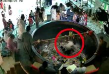 Man jumps into giant cauldron at Ajmer Sharif Dargah, gets beaten up
