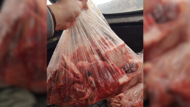 bag of meat