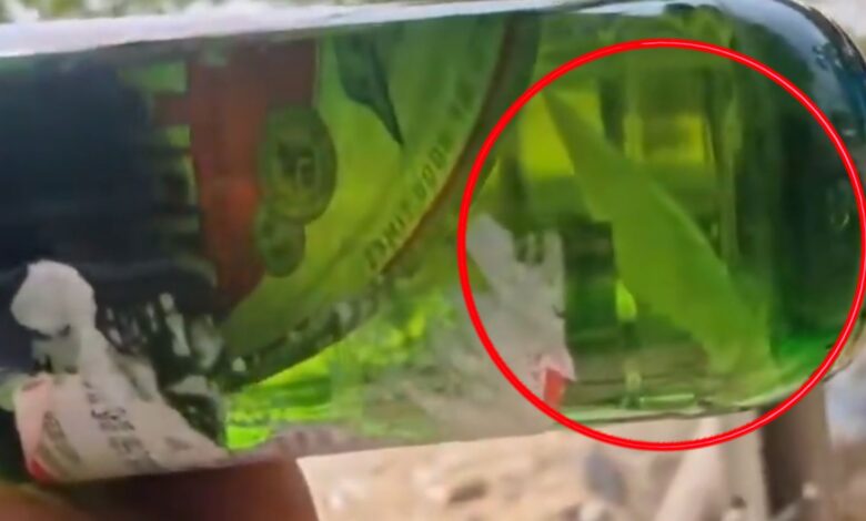 Condom packet found floating inside beer bottle in Telangana
