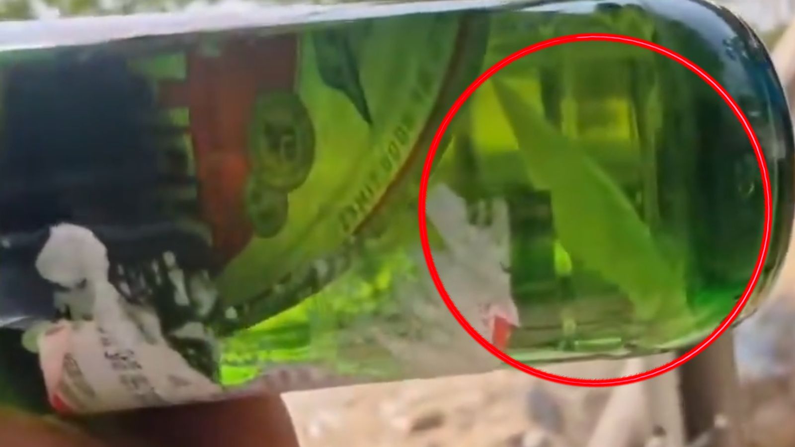Condom packet found floating inside beer bottle in Telangana