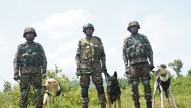 Three soldiers in camouflage uniforms with trained dogs outdoors, standing on grassy terrain under cloudy.