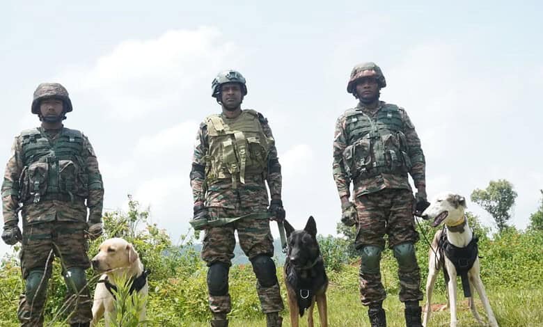 Three soldiers in camouflage uniforms with trained dogs outdoors, standing on grassy terrain under cloudy.
