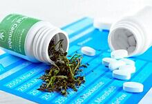 Seized cannabis and MDMA tablets displayed on a blue police evidence sheet in Hyderabad.