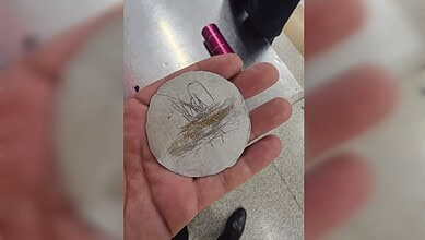 Hand holding a round stone with a sketch and feather drawing, indoors.