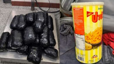 8 kg of hydroponic ganja worth Rs 3 crore seized at Hyderabad airport