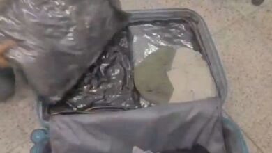 10 kg hydroponic ganja worth Rs 3.5 crore seized at Hyderabad airport