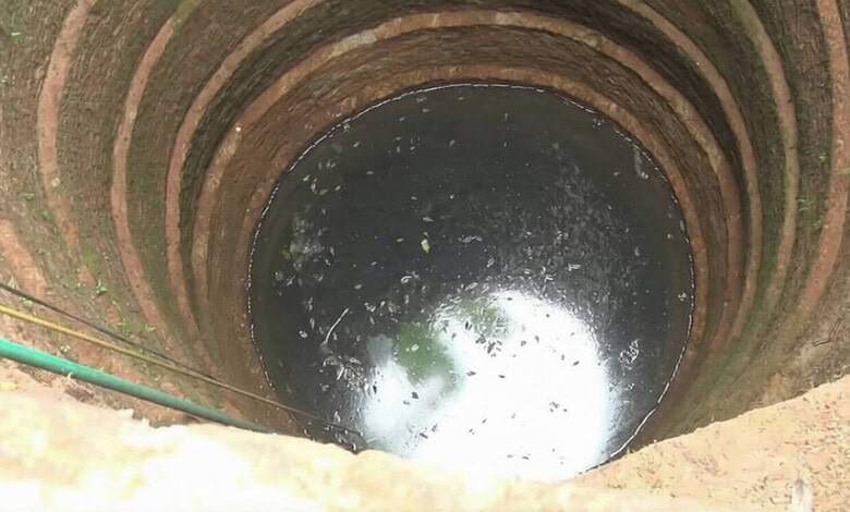 A deep well with water at the bottom, surrounded by brick walls, in an outdoor setting.