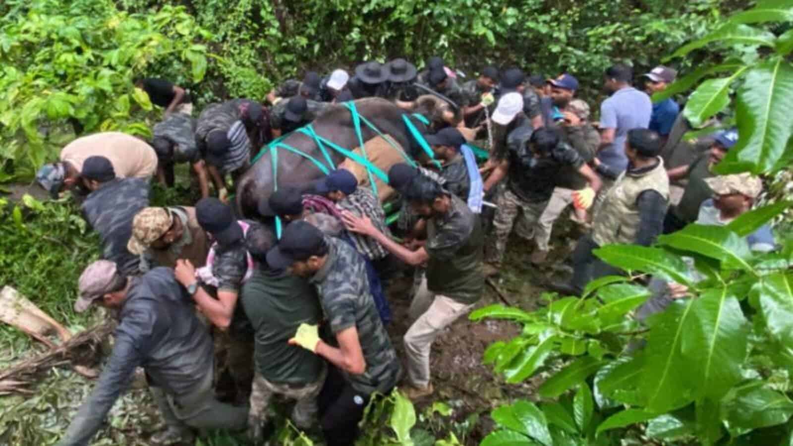 A woman being rescued from floodwaters by a group of people in a lush green area.
