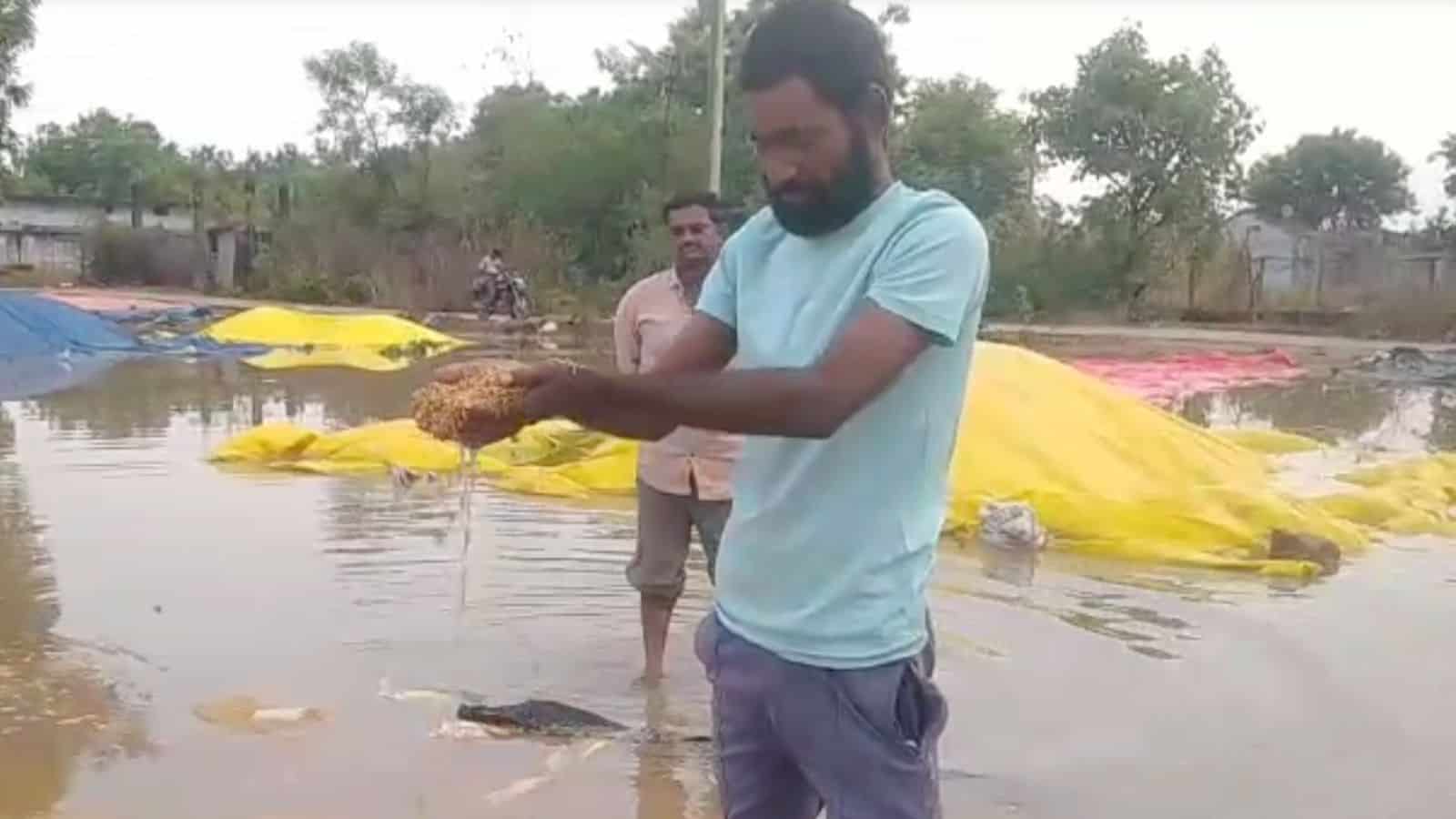 Man inspecting flooded paddy fields after heavy rains in Jayashankar Bhupalpally district.