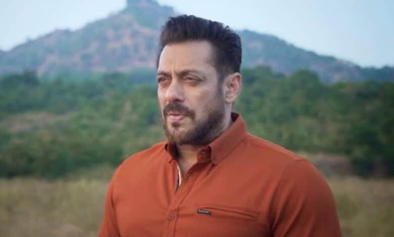 A man with a beard and brown shirt standing outdoors with a mountain and greenery in the background.
